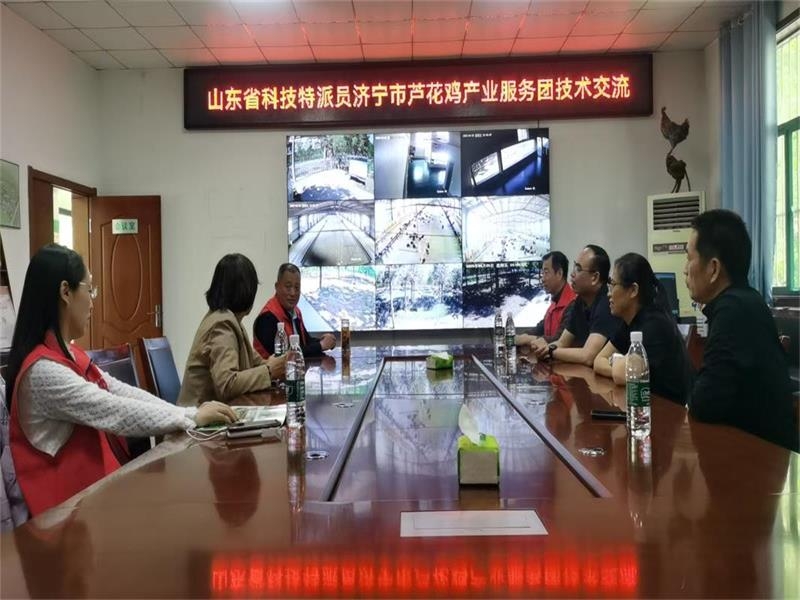 山東省科技特派員濟(jì)寧市蘆花雞產(chǎn)業(yè)服務(wù)團(tuán)開展技術(shù)交流指導(dǎo)
